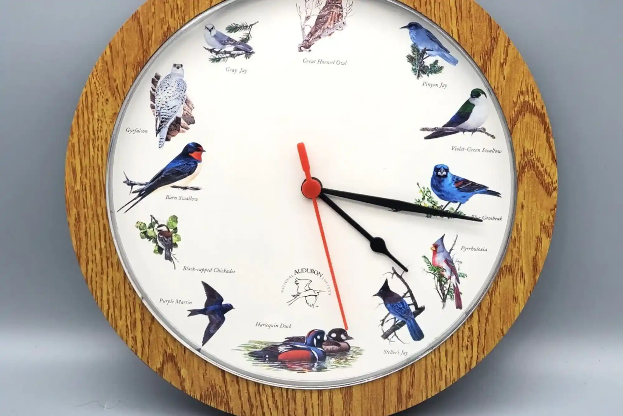 Bird Clock Walmart: A Guide to Nature-Inspired Timepieces