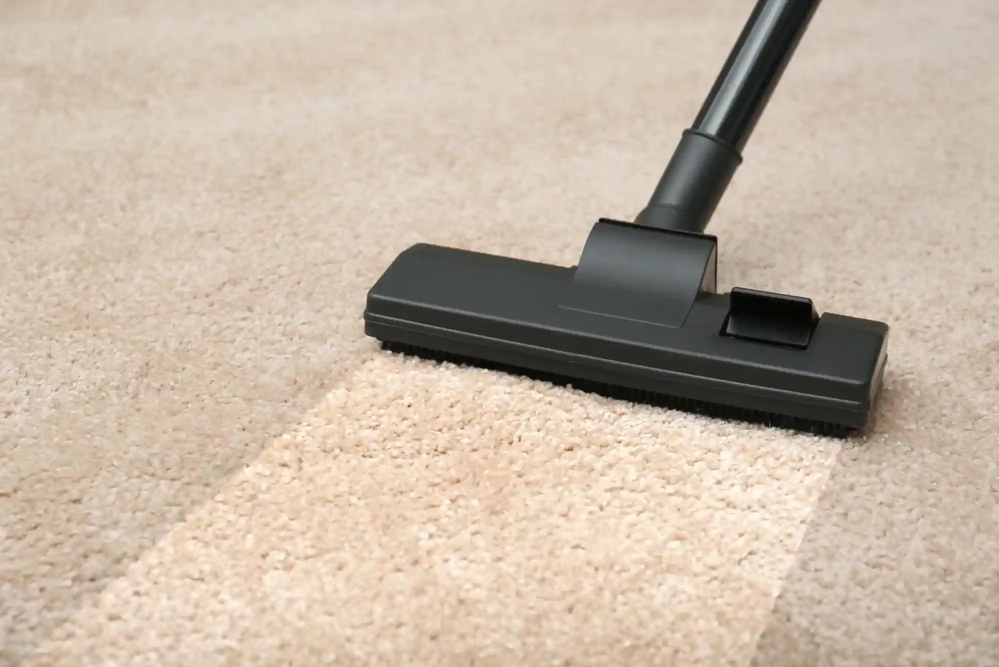 Professional Rug Cleaning Before Winter