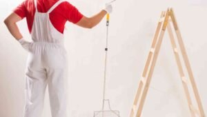 Painters in Apex, NC