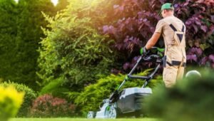 Lawn Fertilizing in Omaha, NE